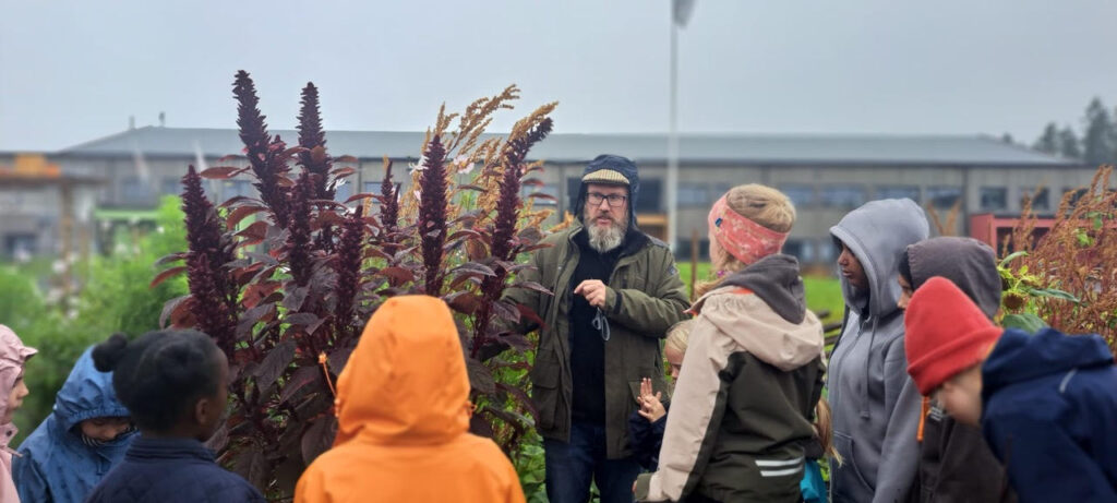 Mann med skjegg og regnjakke ved en stor mørk rød amaranth-plante i en hage sammen med 5 barn.